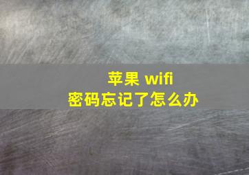 苹果 wifi密码忘记了怎么办